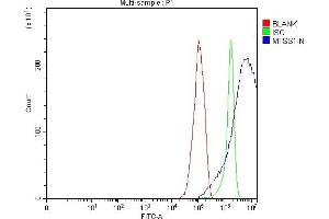 Flow Cytometry analysis of RT4 cells using anti-MIM/MTSS1 antibody (ABIN7600276).