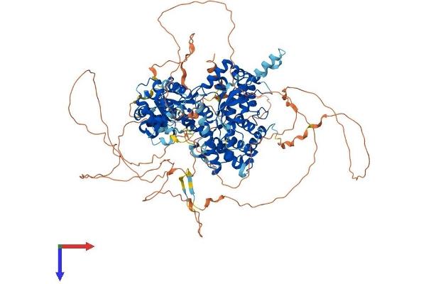 FAM120A Protein (AA 1-1112) (His tag)
