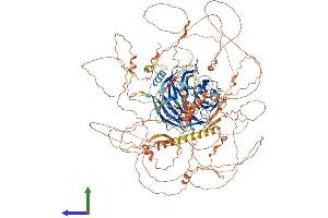 Protein Structure (PS) image for Autophagy/beclin-1 Regulator 1 (AMBRA1) (AA 1-1298) protein (His tag) (ABIN7552115)