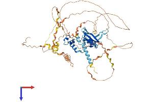 AlphaFold protein structure predicition of Mouse Recombinant Socs7 Protein, UniprotID Q8VHQ2