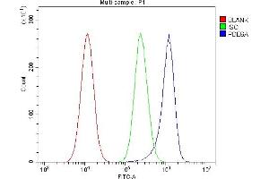 Flow Cytometry analysis of A549 cells using anti-PDE6 alpha/PDE6A antibody (ABIN7599710). (PDE6A Antikörper  (AA 11-237))