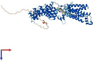 ZDHHC17 Protein (AA 1-632) (His tag)