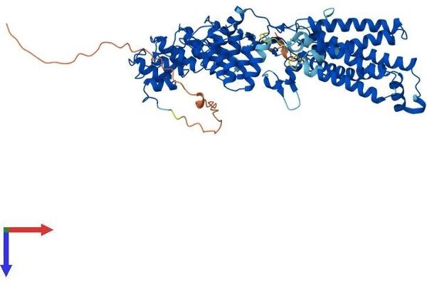 ZDHHC17 Protein (AA 1-632) (His tag)