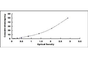 Typical standard curve (SIRT7 ELISA Kit)