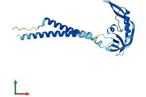 AlphaFold protein structure predicition of Mouse Recombinant Kcnmb4 Protein, UniprotID Q9JIN6