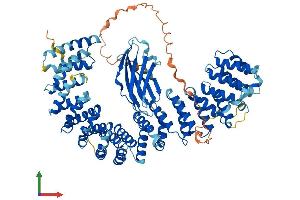 Protein Structure (PS) image for AP1 Complex Subunit gamma-Like 2 (AP1G2) (AA 1-791) protein (His tag) (ABIN7562617)