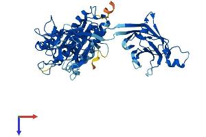 Copine III Protein (CPNE3) (AA 1-537) (His tag)