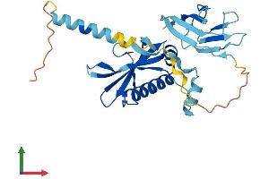Protein Structure (PS) image for PIH1 Domain Containing 1 (PIH1D1) (AA 1-290) protein (His tag) (ABIN7560550)