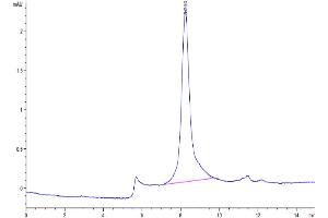 Size-exclusion chromatography-High Pressure Liquid Chromatography (SEC-HPLC) image for Lipoprotein-Associated phospholipase A2 (Lp-PLA2) (AA 22-440) protein (His tag) (ABIN7275462)