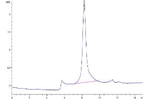 The purity of Mouse PLA2G7 is greater than 95 % as determined by SEC-HPLC. (PLA2G7 Protein (AA 22-440) (His tag))