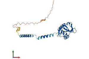 Protein Structure (PS) image for CD209d Antigen (CD209D) (AA 1-237) protein (His tag) (ABIN7560163)