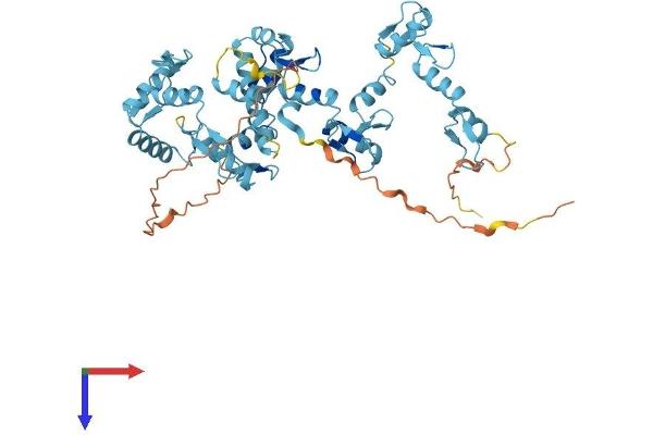ZNF689 Protein (AA 1-500) (His tag)