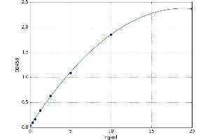 A typical standard curve