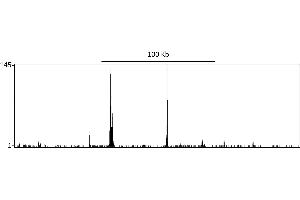 ChIP DNA-Sequencing (ChIP-seq) image for anti-Nuclear Factor-kB p65 (NFkBP65) (AA 501-551) antibody (ABIN7454789)