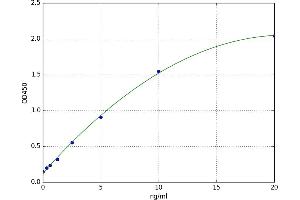 Dopamine Receptor D2 (DRD2) ELISA Kit