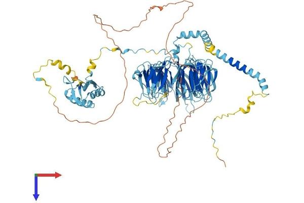 EIF3B Protein (AA 1-814) (His tag)