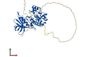 Protein Structure (PS) image for serine/threonine Kinase 17b (STK17B) (AA 1-372) protein (His tag) (ABIN7546468)