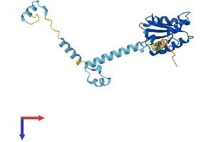 PDCL2 Protein (AA 1-240) (His tag)