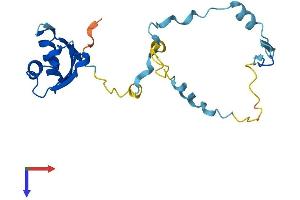 RCAN2 Protein (AA 1-197) (His tag)