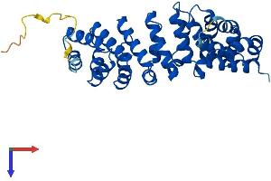 RTDR1 Protein (AA 1-341) (His tag)