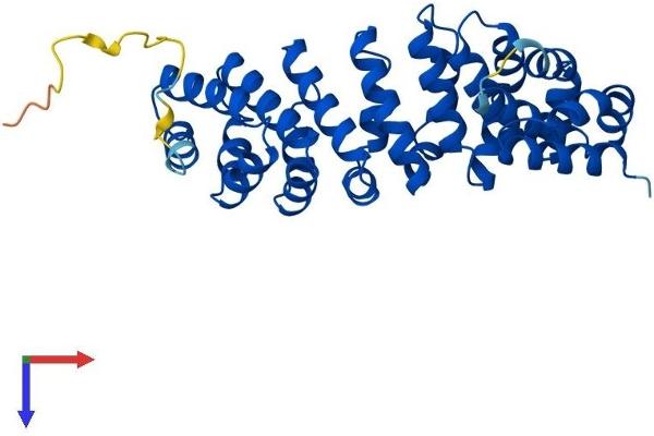 RTDR1 Protein (AA 1-341) (His tag)
