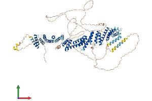 AlphaFold protein structure predicition of Human Recombinant TTC16 Protein, UniprotID Q8NEE8 (TTC16 Protein (AA 1-873) (His tag))