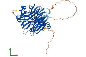 Protein Structure (PS) image for Sialidase 3 (Membrane Sialidase) (Neu3) (AA 1-428) protein (His tag) (ABIN7549715)