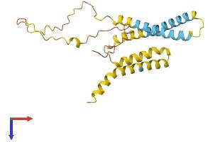 TIMM23 Protein (AA 1-209) (His tag)