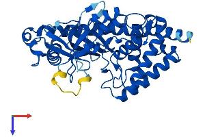 MAB21L2 Protein (AA 1-359) (His tag)