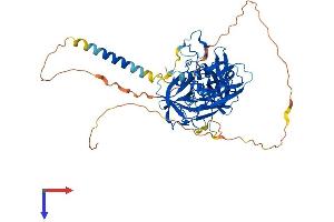 TMPRSS13 Protein (AA 1-543) (His tag)