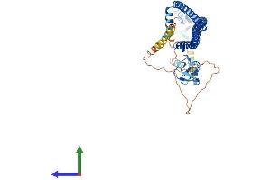 Protein Structure (PS) image for Tripartite Motif Containing 31 (TRIM31) (AA 1-425) protein (His tag) (ABIN7544745)