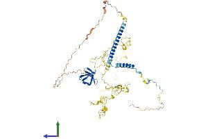AlphaFold protein structure predicition of Mouse Recombinant Cttn Protein, UniprotID Q60598