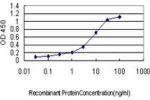 ELISA image for anti-Solute Carrier Family 9, Subfamily A (NHE1, Cation Proton Antiporter 1), Member 1 (SLC9A1) (AA 31-130) antibody (ABIN598930) (SLC9A1 Antikörper  (AA 31-130))