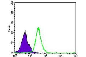 Flow Cytometry (FACS) image for anti-Nuclear Factor of kappa Light Polypeptide Gene Enhancer in B-Cells 1 (NFKB1) antibody (ABIN969313)
