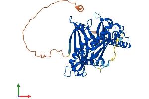 Protein Structure (PS) image for Acyl-CoA Thioesterase 7 (ACOT7) (AA 1-380) protein (His tag) (ABIN7552509)