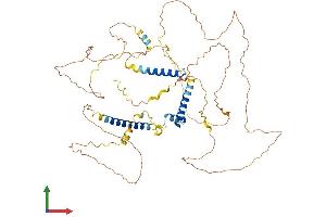 Protein Structure (PS) image for SLAIN Motif Family, Member 2 (SLAIN2) (AA 1-581) protein (His tag) (ABIN7546129)