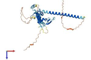 PHF11 Protein (AA 1-337) (His tag)