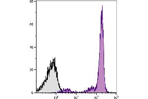 BALB/c mouse bone marrow cells were stained with Mouse Anti-Mouse CD45. (CD45.2 Antikörper  (PE-Cy7))