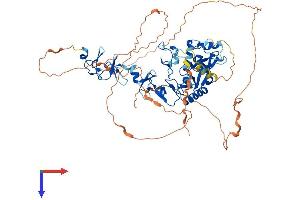 PRICKLE3 Protein (AA 1-624) (His tag)