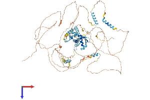 E2F8 Protein (AA 1-867) (His tag)