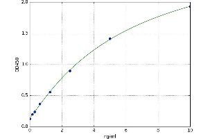 Suppressor of Cytokine Signaling 1 (SOCS1) ELISA Kit