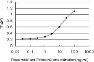 Detection limit for recombinant GST tagged MR1 is approximately 1ng/ml as a capture antibody. (MR1 Antikörper  (AA 201-300))