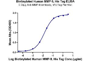 ELISA image for Matrix Metallopeptidase 9 (Gelatinase B, 92kDa Gelatinase, 92kDa Type IV Collagenase) (MMP9) (AA 20-707) protein (His-Avi Tag,Biotin) (ABIN7275271)