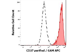 Separation of human CD37 positive lymphocytes (red-filled) from human CD37 negative lymphocytes (black-dashed) in flow cytometry analysis (surface staining) of peripheral whole blood stained using anti-human CD37 (MB-1) purified antibody (concentration in sample 0,2 μg/mL, GAM APC). (CD37 Antikörper)