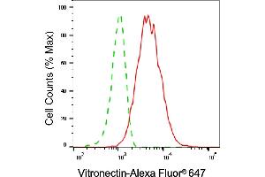 Flow cytometric analysis of Vitronectin expression in HT- cells using Vitronectin antibody (ABIN7800844), 1:2,000).