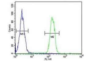 Flow Cytometry (FACS) image for anti-Arginase, Liver (ARG1) (AA 293-322) antibody (ABIN3030017)