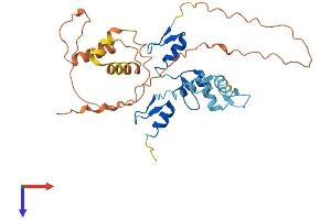 OSR2 Protein (AA 1-312) (His tag)