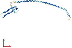 Protein Structure (PS) image for Leucine Zipper Transcription Factor-Like 1 (LZTFL1) (AA 1-299) protein (His tag) (ABIN7549186)