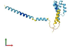Protein Structure (PS) image for Translocase of Outer Mitochondrial Membrane 20 Like (TOMM20L) (AA 1-152) protein (His tag) (ABIN7560999)