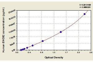 Typical standard curve (ENOX2 ELISA Kit)